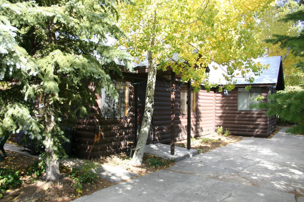 Yellowstone Wildlife Cabins West Yellowstone Exteriör bild