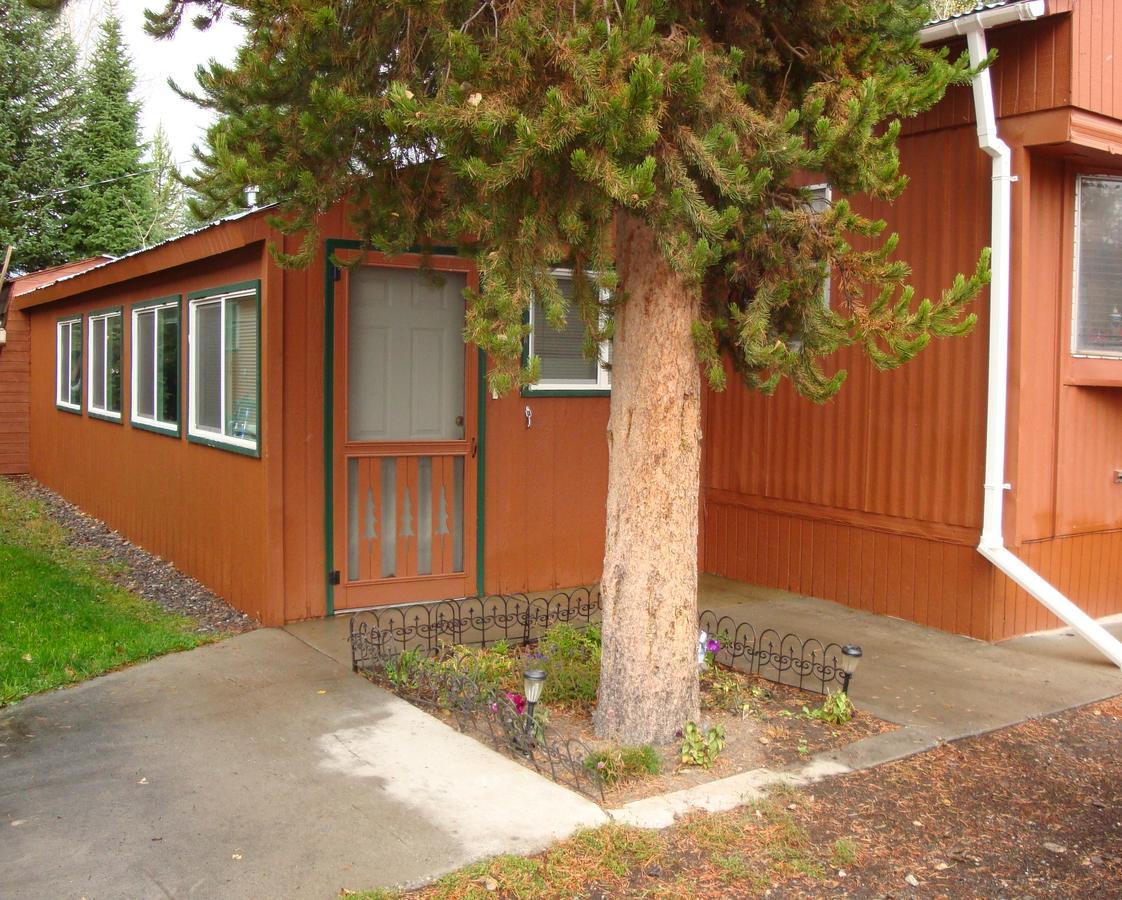 Yellowstone Wildlife Cabins West Yellowstone Exteriör bild